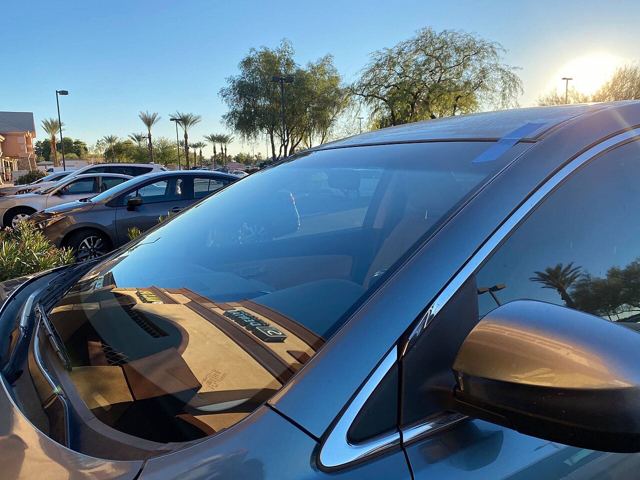 Technician setting a windshield replacement